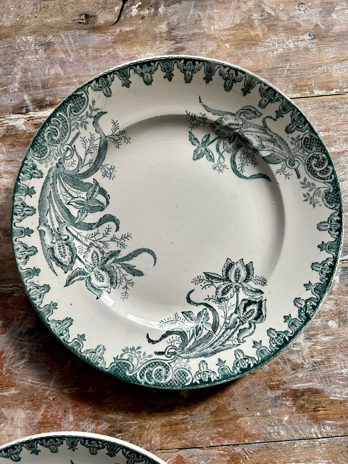 Flat plates terre de fer iris model