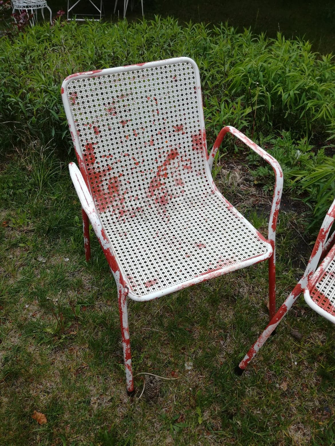 Pair of armchairs EMU 1950