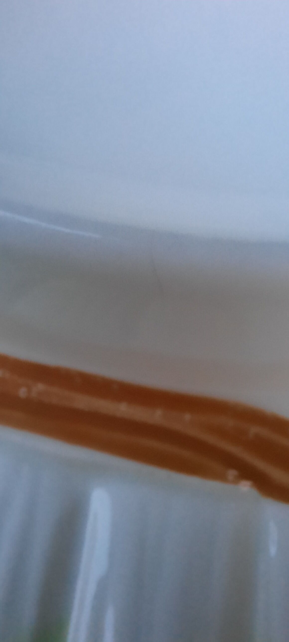 5 earthenware asparagus plates