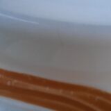 5 earthenware asparagus plates