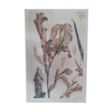 Nall engraving signed and numbered