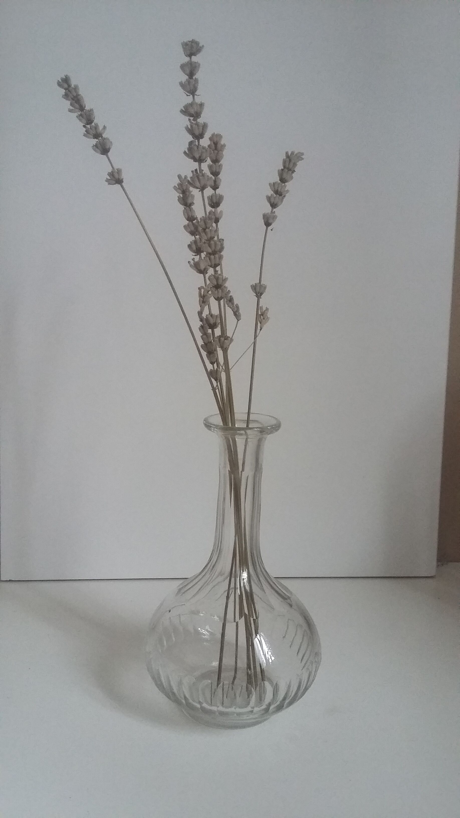 Soliflore, glass vase