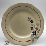 Sarreguemines plates model 5041