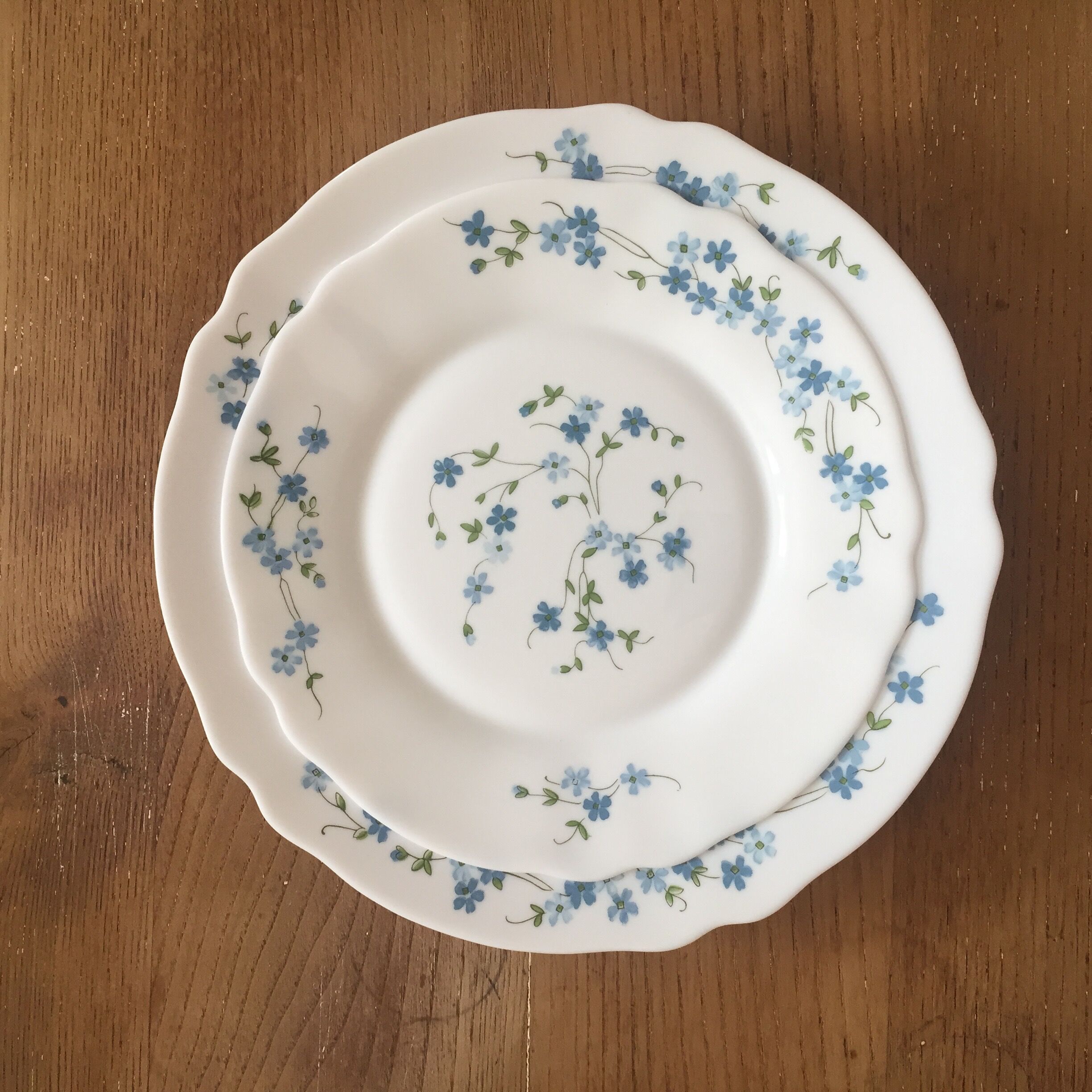 Set of 13 plates (6 dessert plates + 7 creuses "myotis" arcopal)