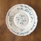 Lot de 13 assiettes (6 assiettes desserts + 7 creuses "myotis" arcopal)