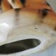 Ceramic tiger