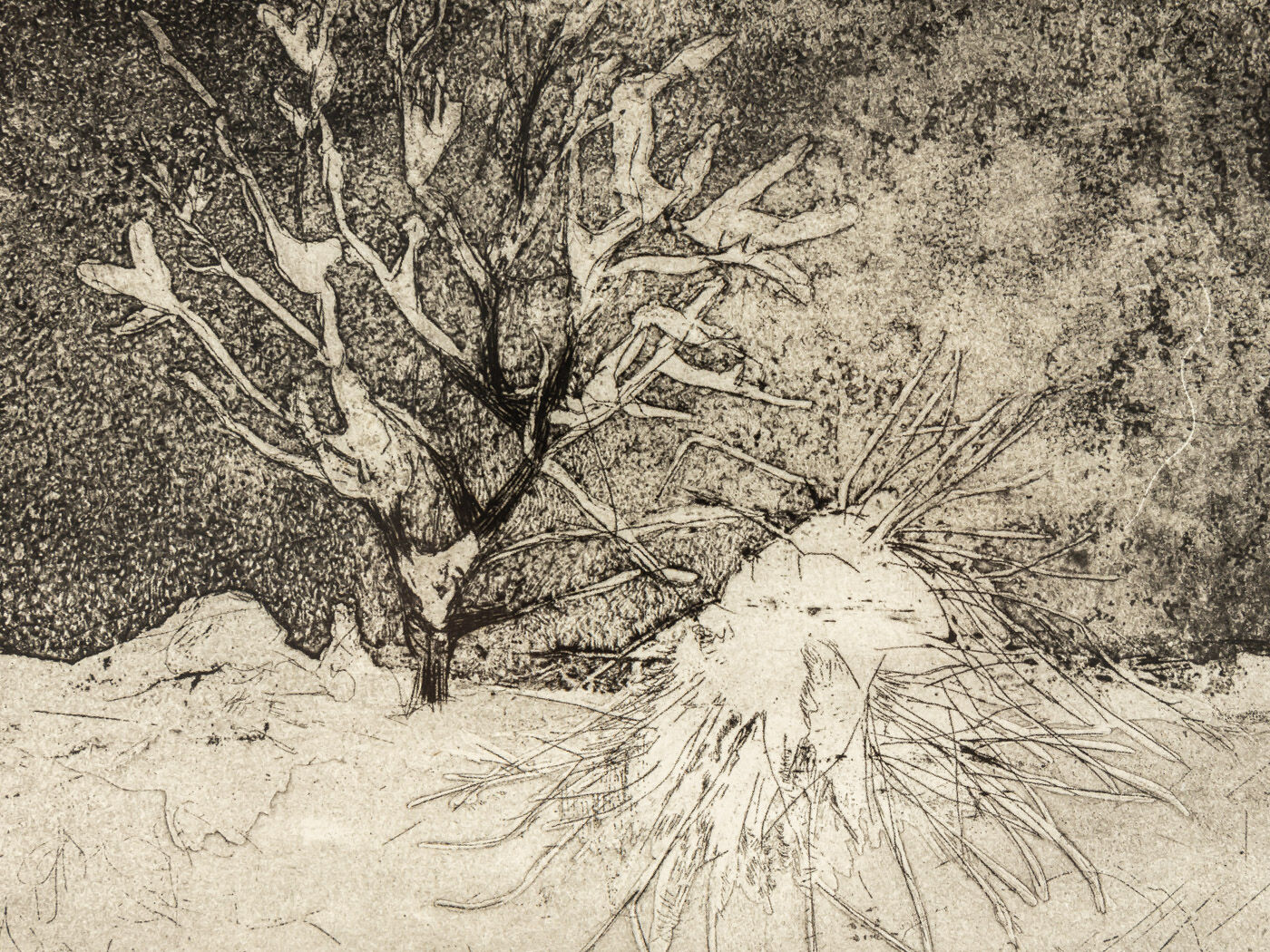 Neige, B/W Etching on Paper, 47 x 47 cm