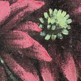 Vintage original velvet flower oil painting, red flower still life art