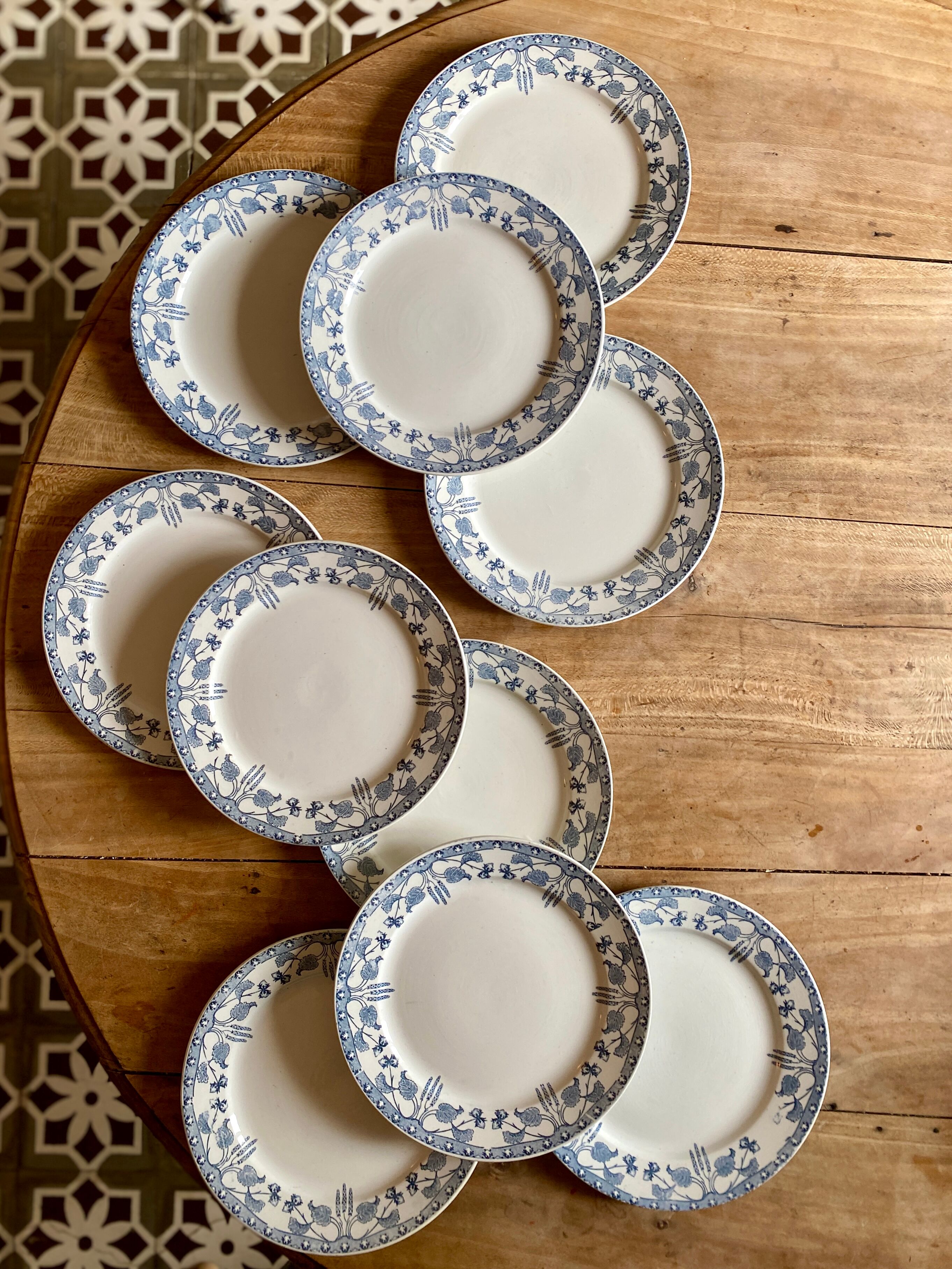 Set of 10 old flat plates in iron earth, model Noisette de Sarreguemines