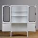 Restored Medical Cabinet, 1970’s