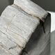 Black petrified wood bookend H17 L17 P6