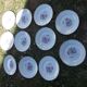 Lot 11 assiettes plates moulin des loups