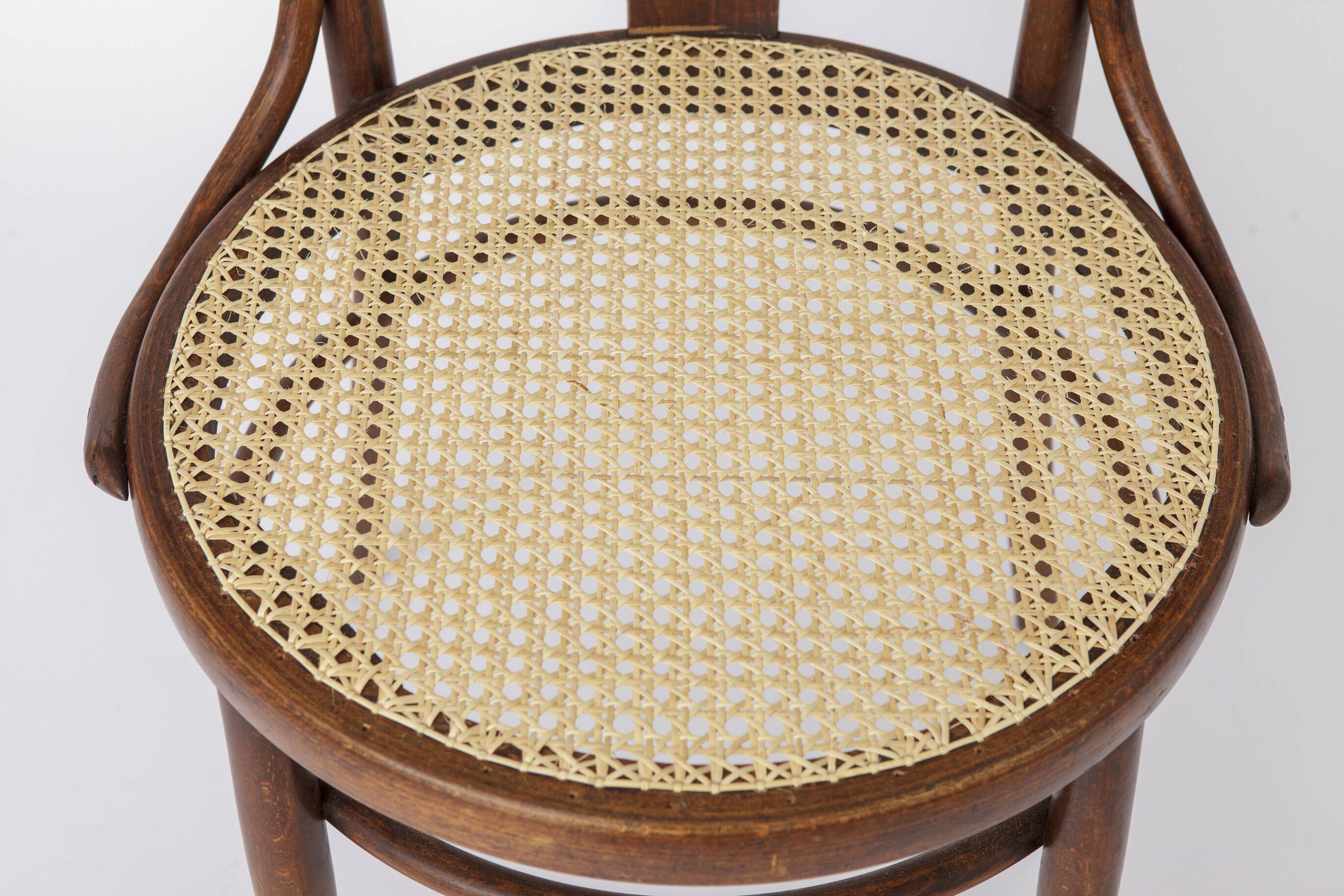 Vintage Bentwood Chair by Fischel Austria 1940s-1950s | Restored Beech Wood