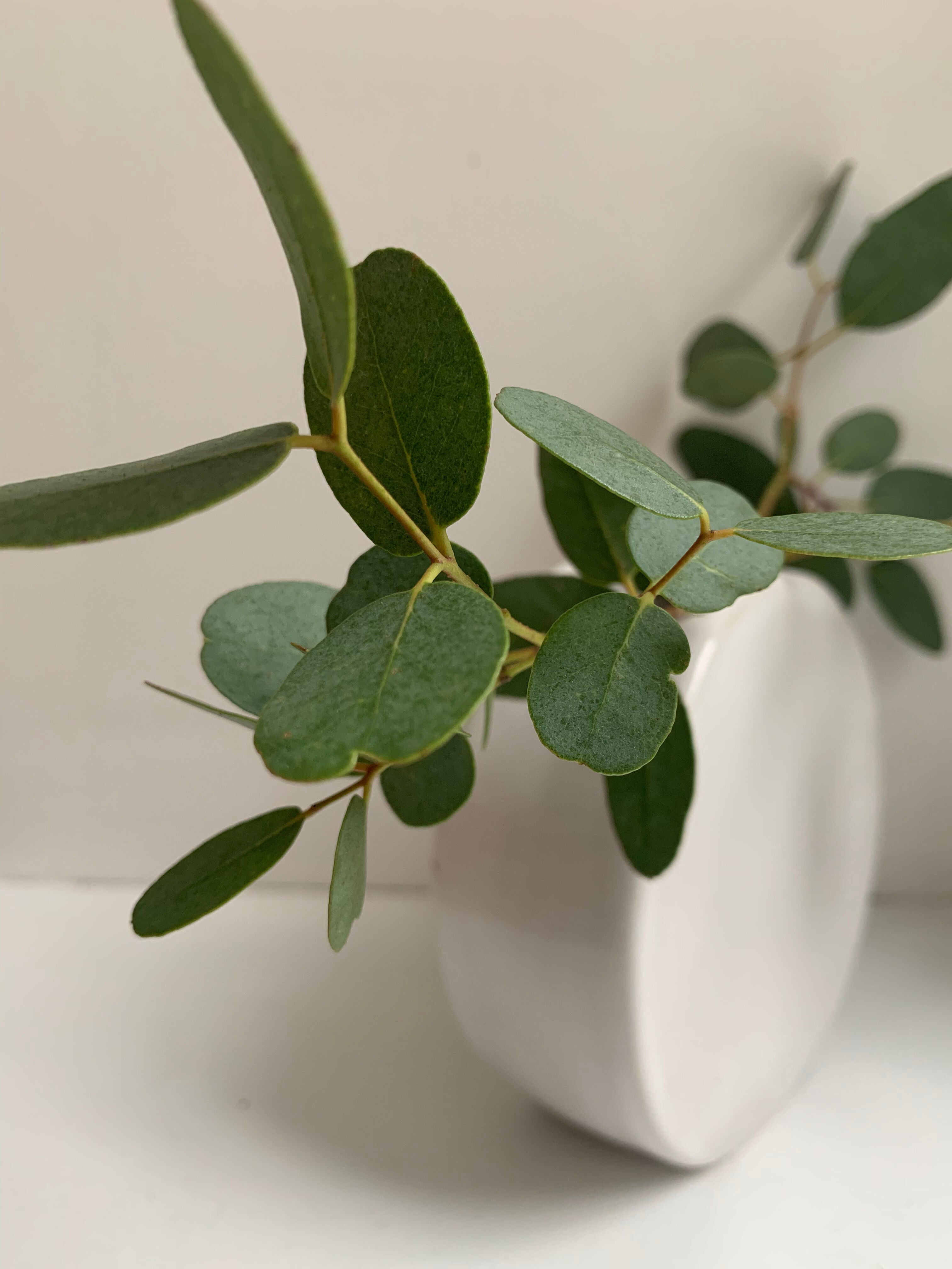 Ceramic vase white enamel