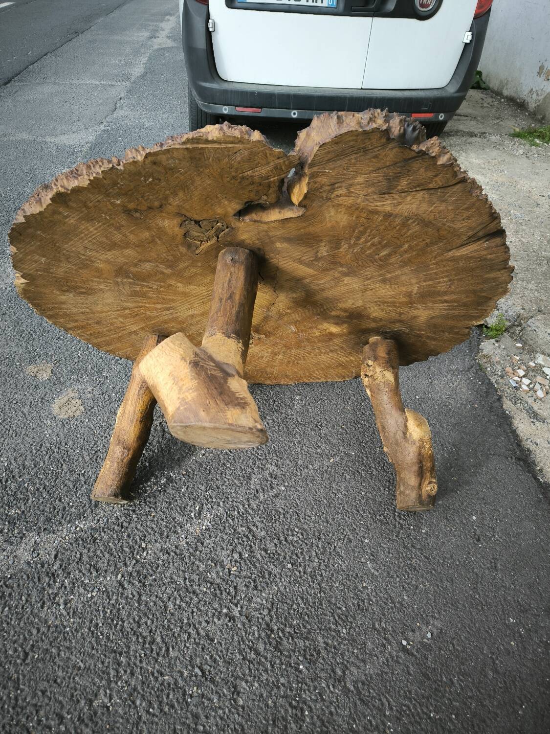 Brutalist coffee table in solid elm burl 108 cm diameter