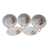 5 assiettes creuses en porcelaine de Bavières Vintage Bareuther Waldassen de 1970