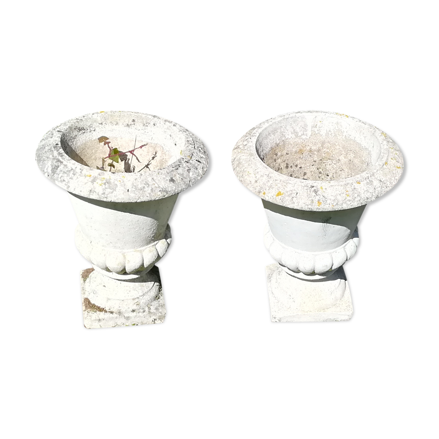 Pair of white Medici vases