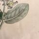 Botanical board, glazed wood frame