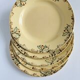 Set of 5 flat plates
