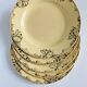 Lot de 5 assiettes plates