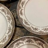 Lot 10 flat plates Onnaing