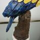 Glazed ceramic parakeet signed Maillard