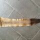 Kangaroo skin