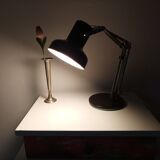 Articulated lamp