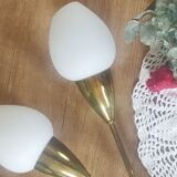 Duo of torch wall lamps