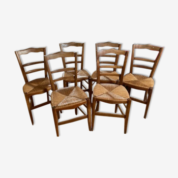 Lot 6 chaises