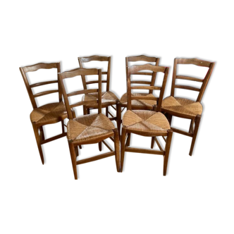Lot 6 chairs