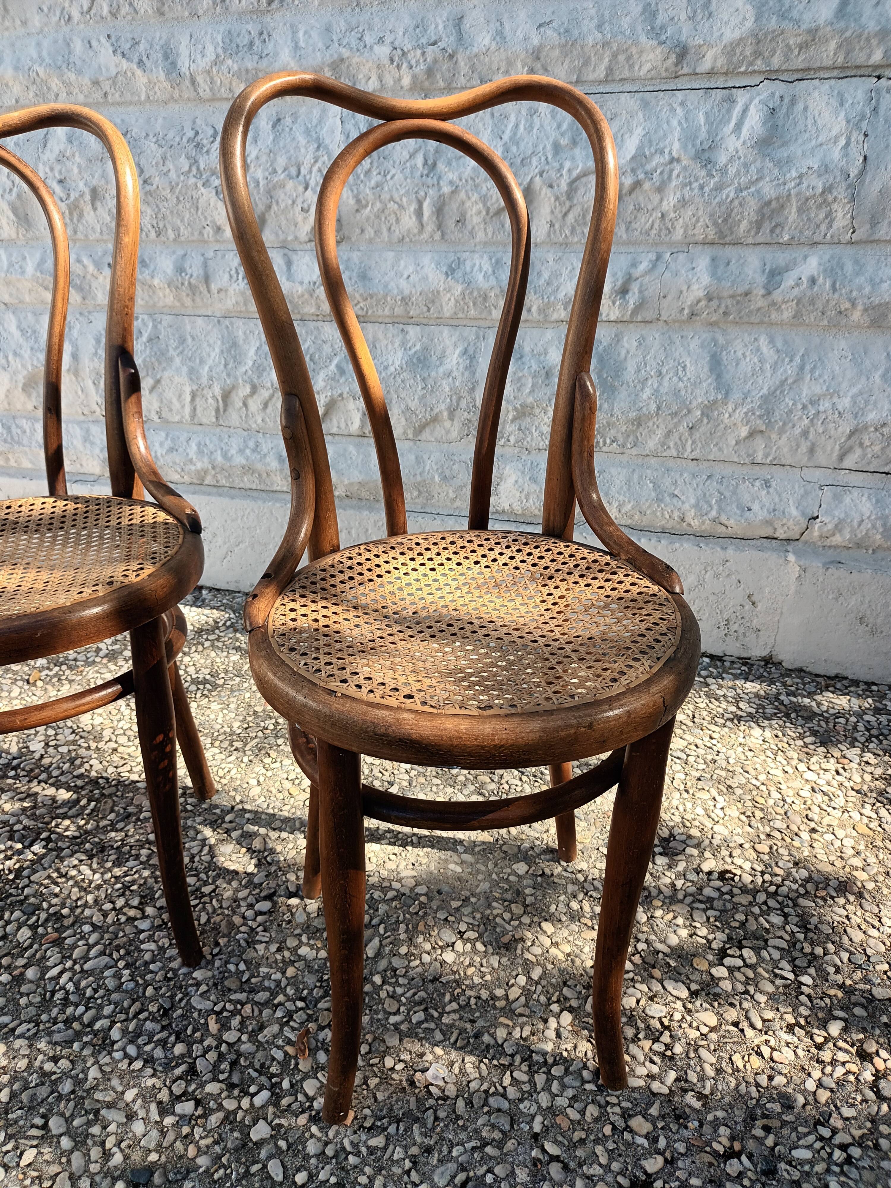 Chairs Thonet