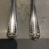 Set of 12 forks and 12 silver metal