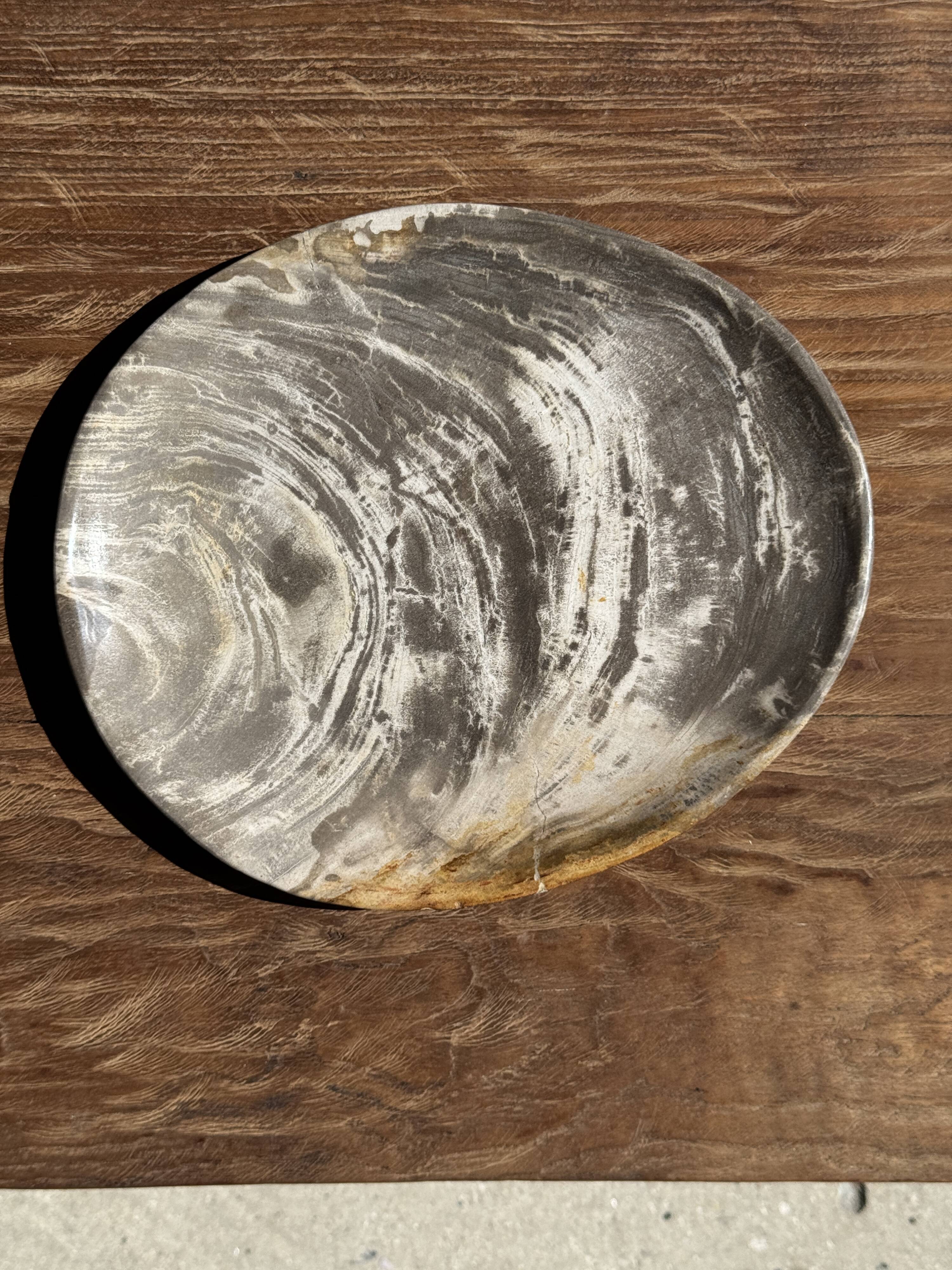 Petrified wood bowl or dish D27-23 -3322