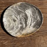 Petrified wood bowl or dish D27-23 -3322