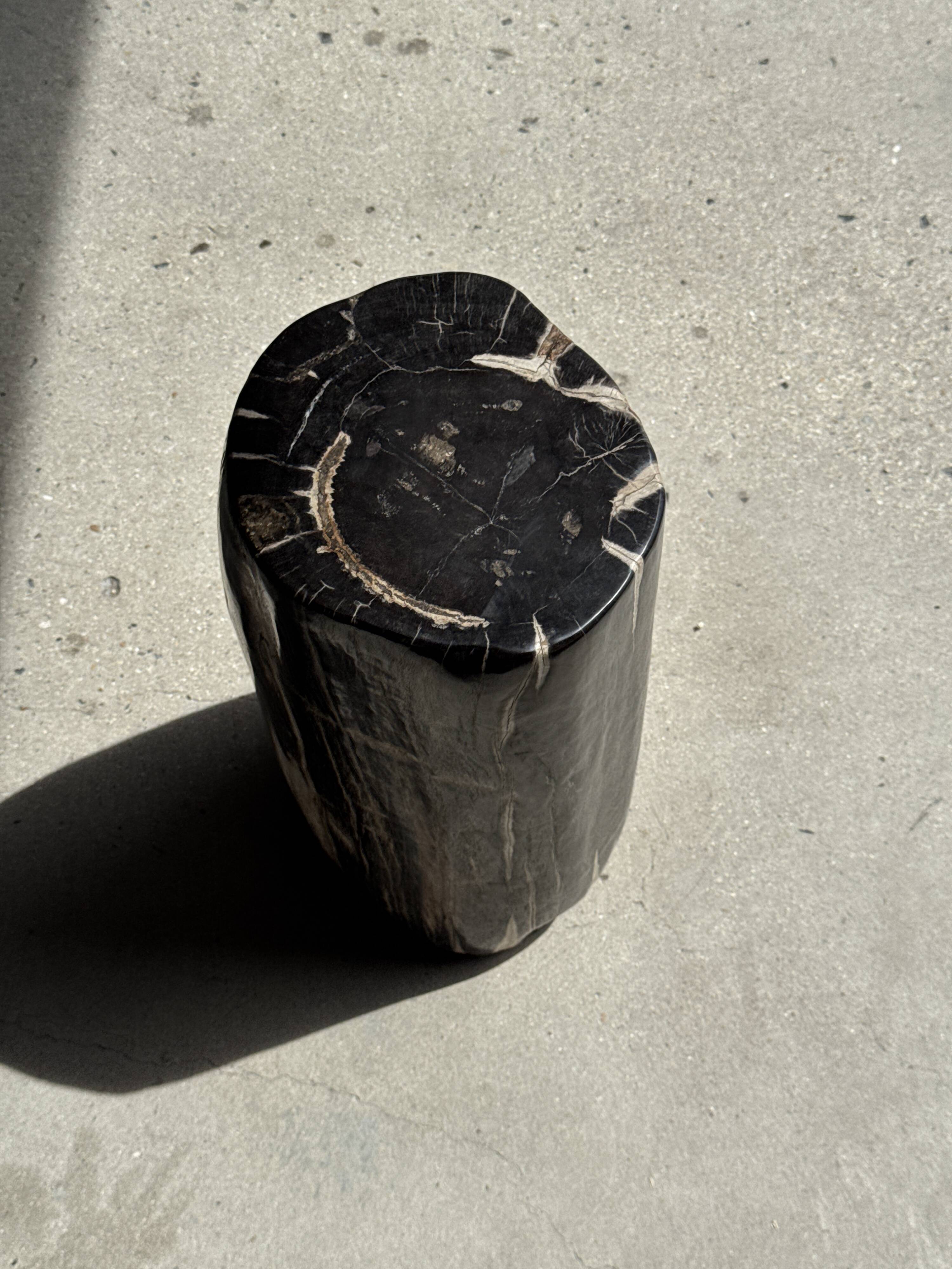 Table d'appoint en bois pétrifié noir