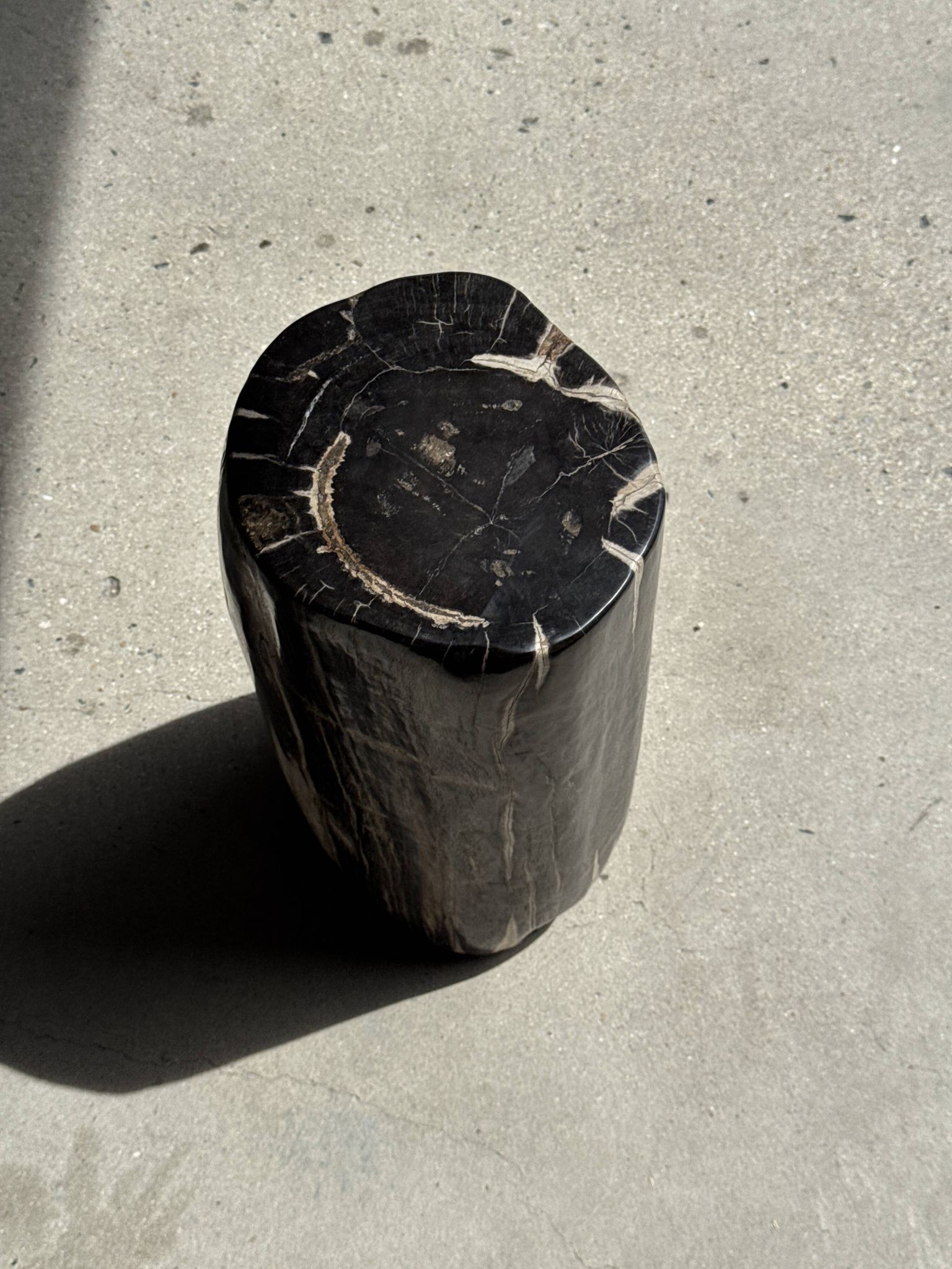 Black petrified wood side table with white and beige stripes H40 D23 - 3