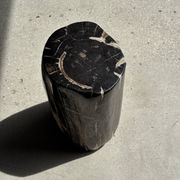 Black petrified wood side table with white and beige stripes H40 D23 - 3