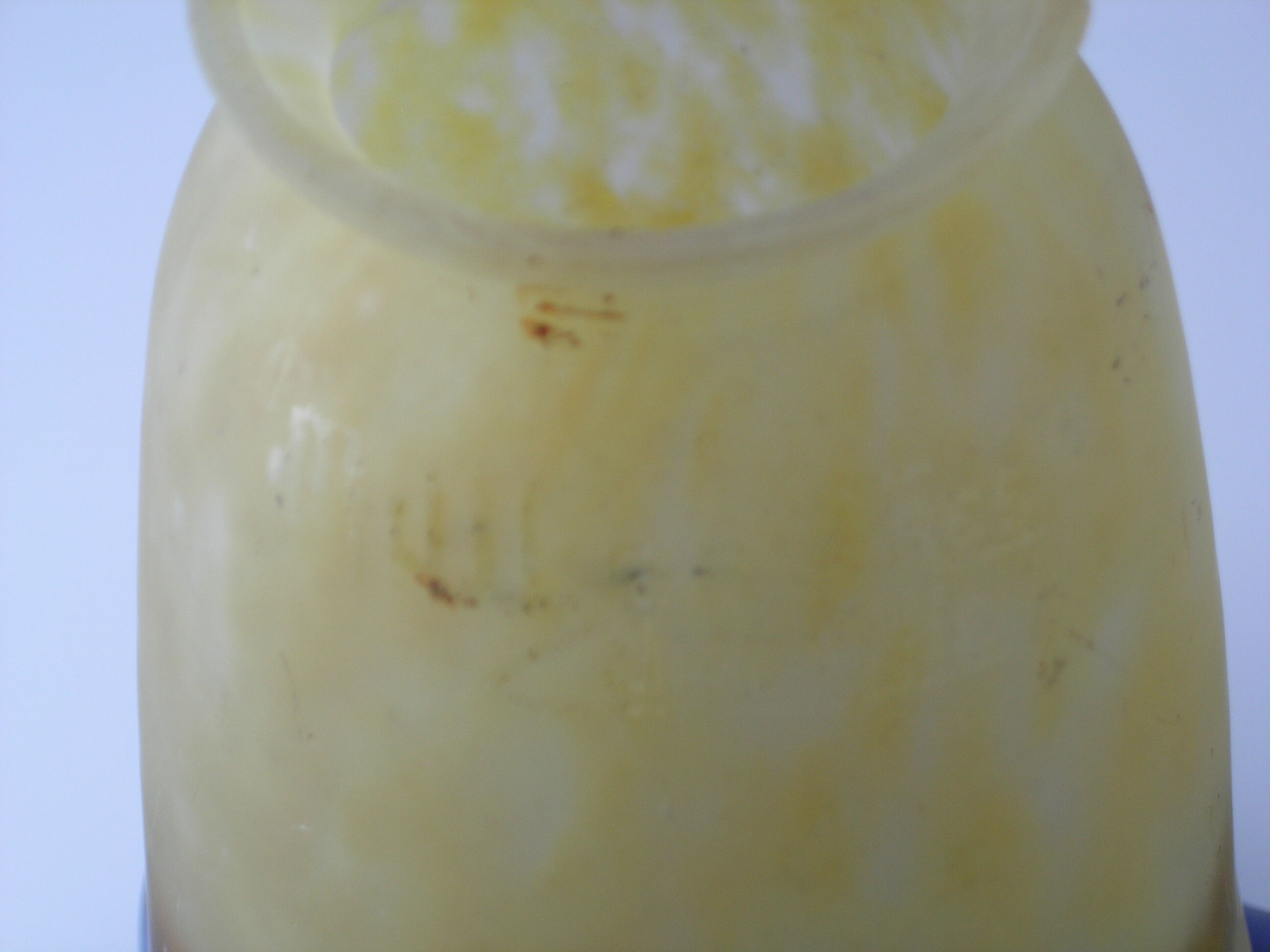 Glass paste tulip Muller Frères Lunéville