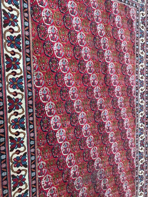 Carpet  Transylvania  170 x 268 cm