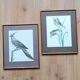 Set of 2 old bird frames, vintage ornithological paintings