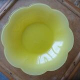 Hollow plates in the shape of luminarc flowers