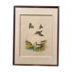 Gravure de chasse sur le thème de la bécasse sauvage
