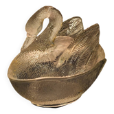 Beurrier cygne