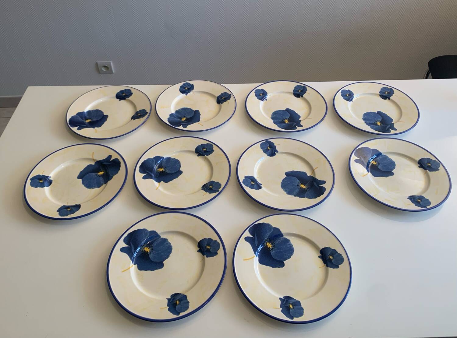 Lot de 10 assiettes plates en faïence de Lunéville