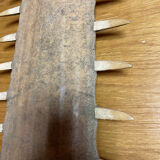 Old sawfish rostrum