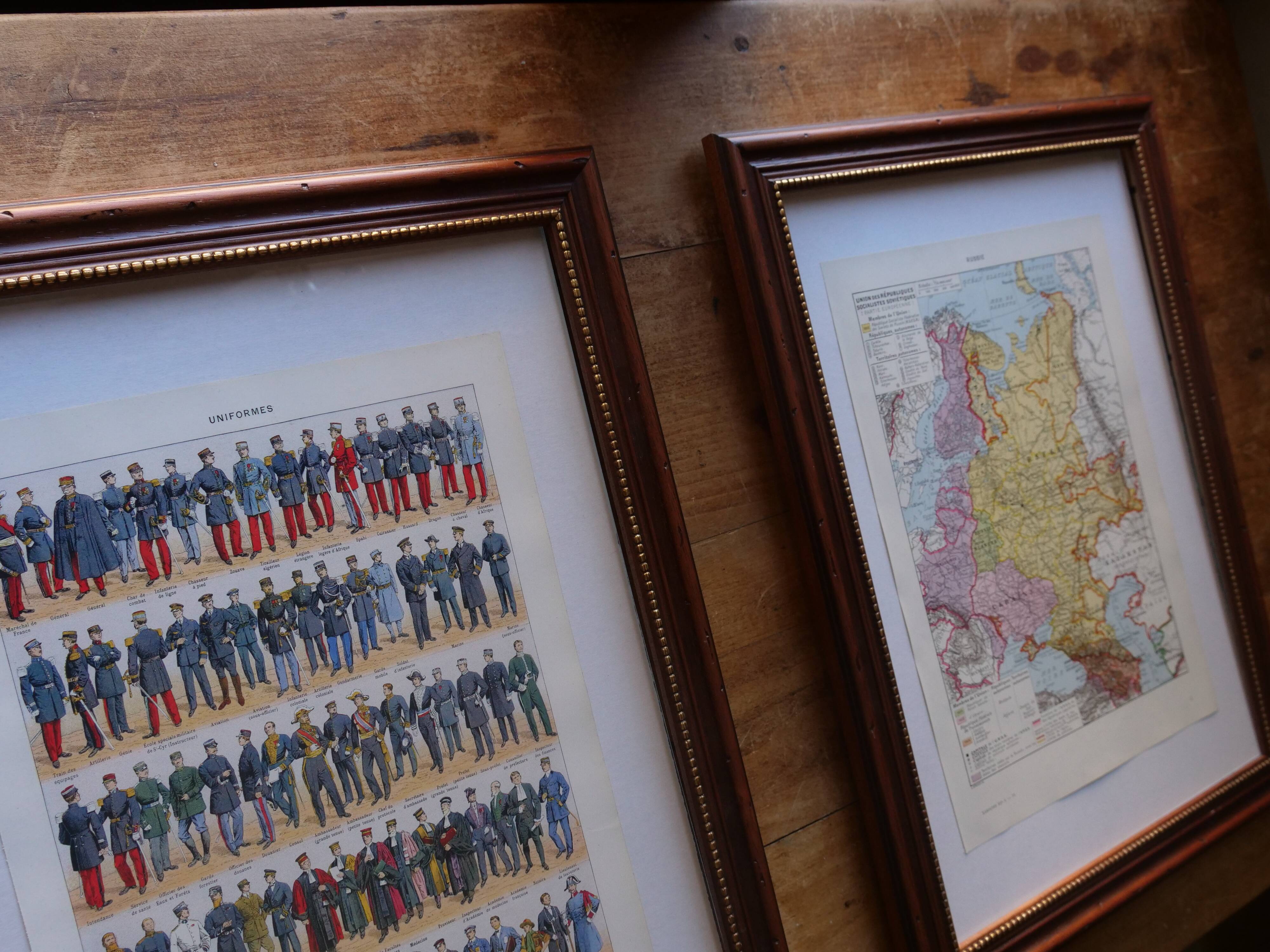 Original lithograph on mollusks