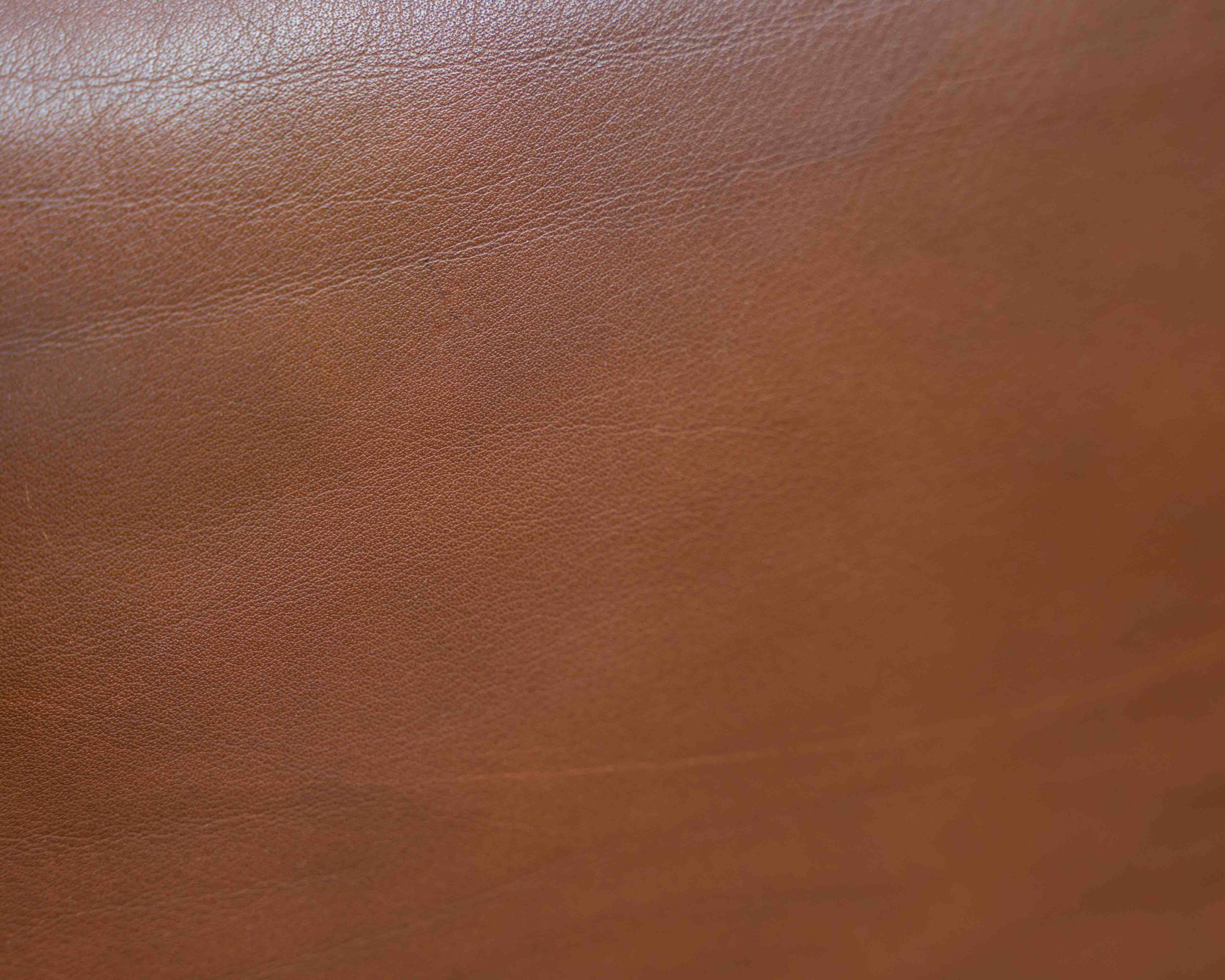 Leather armchair, 1970s, manufacturer Sitag, cognac brown leather.