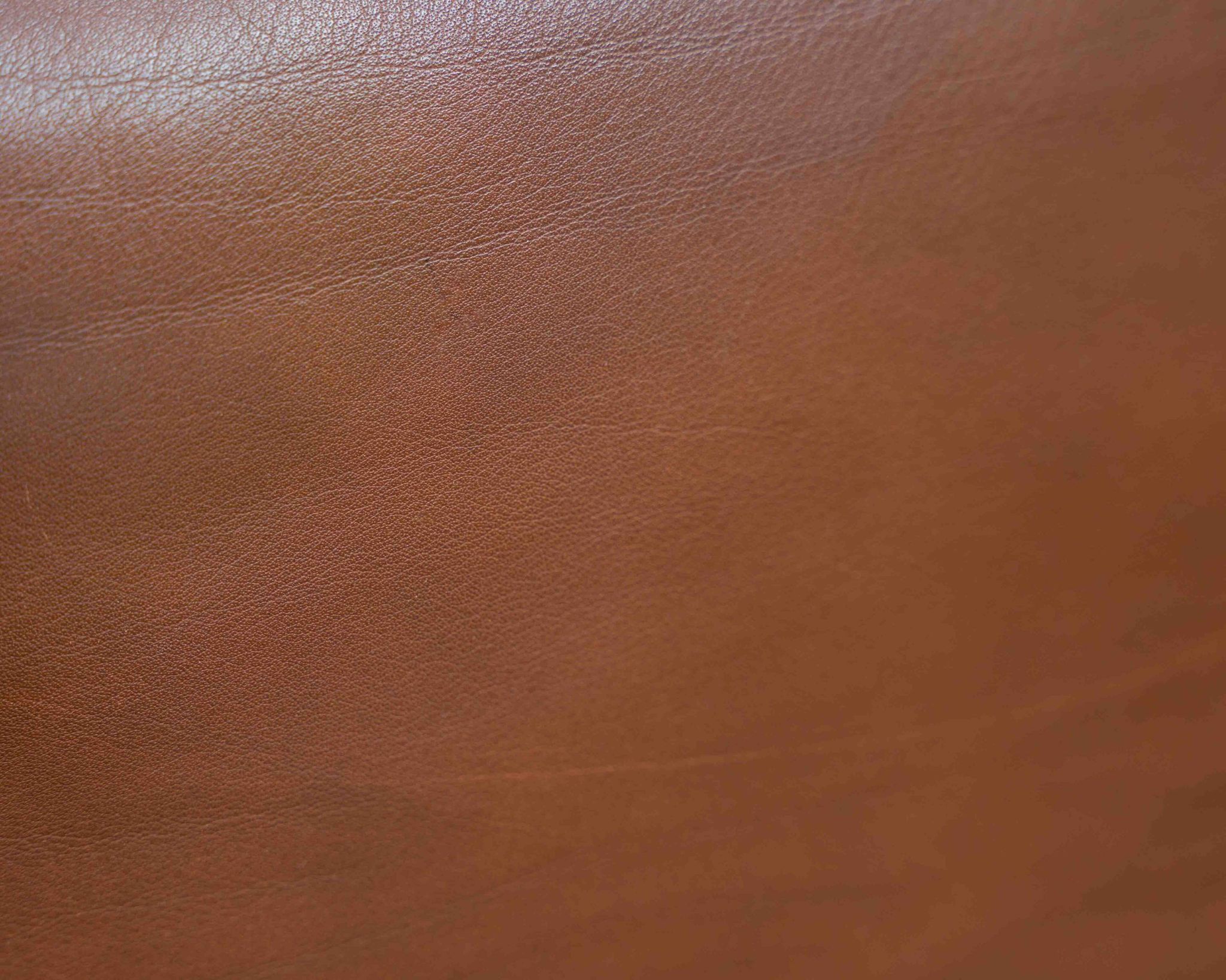 Leather armchair, 1970s, manufacturer Sitag, cognac brown leather.