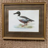 Set of two english engravings